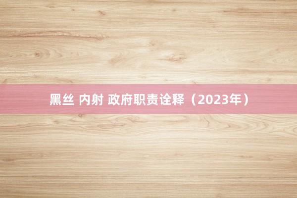 黑丝 内射 政府职责诠释（2023年）