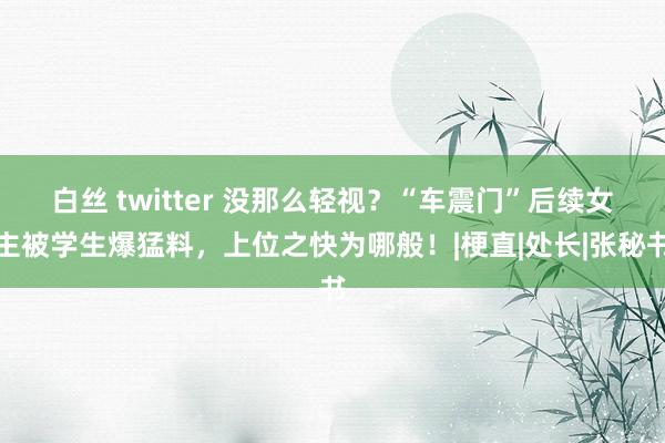 白丝 twitter 没那么轻视？“车震门”后续女主被学生爆猛料，上位之快为哪般！|梗直|处长|张秘书