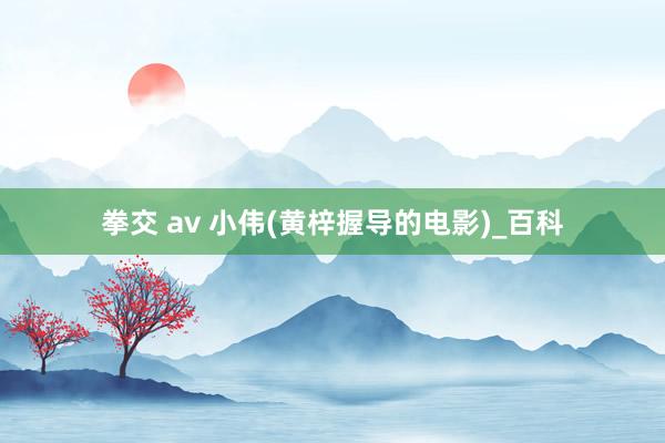 拳交 av 小伟(黄梓握导的电影)_百科