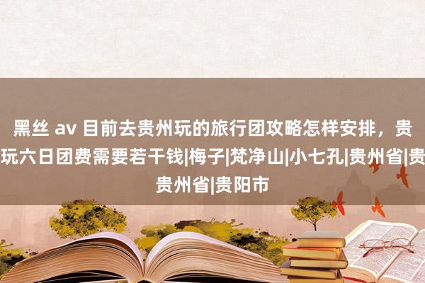 黑丝 av 目前去贵州玩的旅行团攻略怎样安排，贵阳纯玩六日团费需要若干钱|梅子|梵净山|小七孔|贵州省|贵阳市