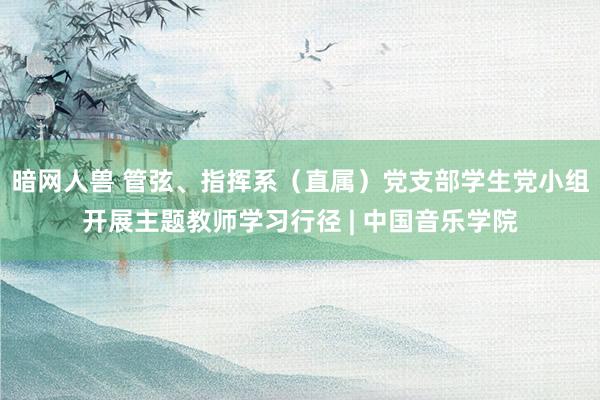 暗网人兽 管弦、指挥系（直属）党支部学生党小组开展主题教师学习行径 | 中国音乐学院