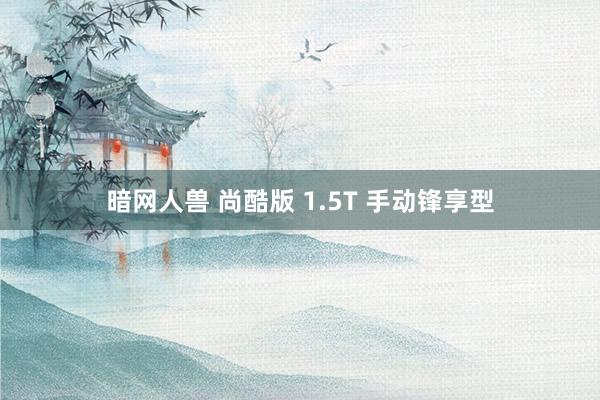 暗网人兽 尚酷版 1.5T 手动锋享型